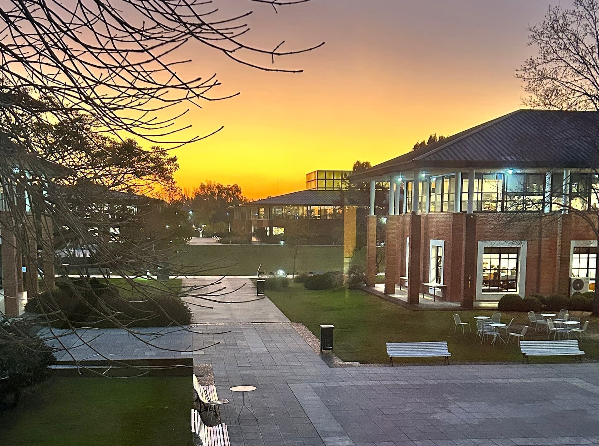 UdeSA atardecer