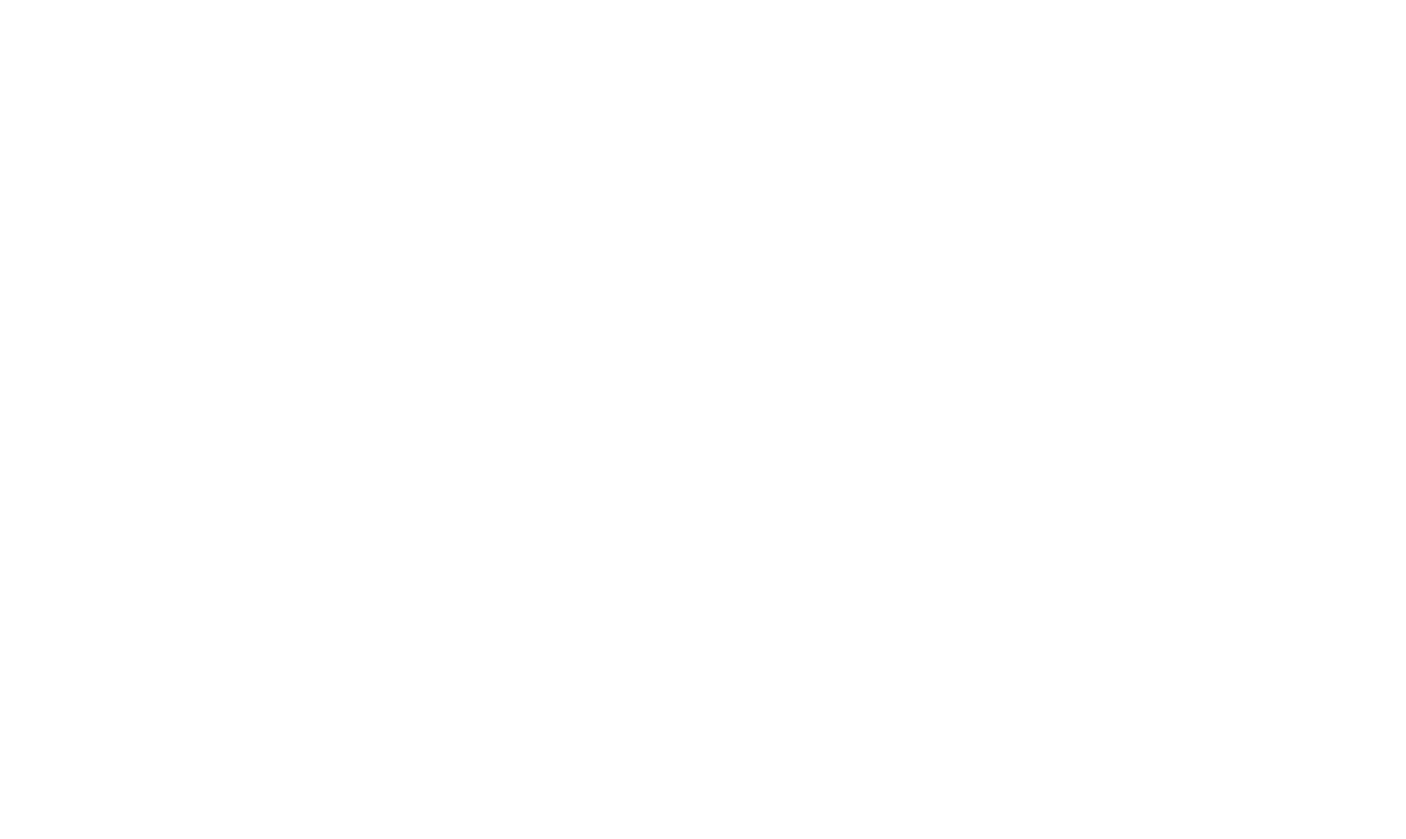 Logo IFI