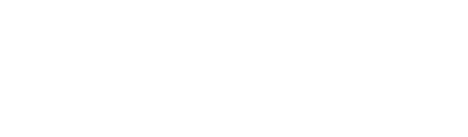 Logo Fleni blanco